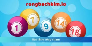 Bắt theo tổng chạm 