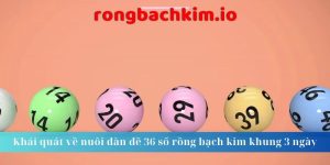 nuôi dàn đề 36 số rồng bạch kim