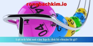 Lợi ích khi soi cầu bạch thủ lô chuẩn là gì? 