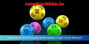 Nuôi dàn đề 36 số rồng bạch kim khung 3 ngày có ưu điểm gì?