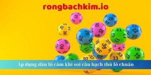 Áp dụng đầu lô câm khi soi cầu bạch thủ lô chuẩn 