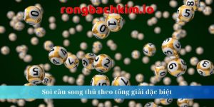 Soi cầu song thủ theo tổng giải đặc biệt 