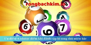 Ưu điểm & nhược điểm khi đánh cặp lô song thủ miền bắc