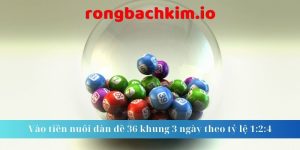 Vào tiền nuôi dàn đề 36 khung 3 ngày theo tỷ lệ 1:2:4 