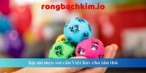 Bật mí mẹo soi cầu Việt hay cho tân thủ
