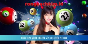 soi cầu Mobi 