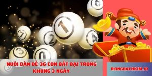 Nuôi dàn đề 36 con bất bại trong khung 3 ngày
