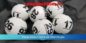 Tham khảo ý kiến từ chuyên gia 