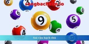 Soi cầu bạch thủ