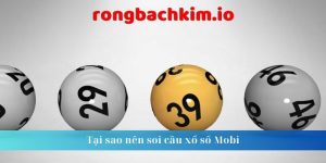 Tại sao nên soi cầu xổ số Mobi 