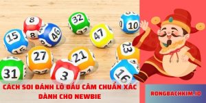 Cách soi đánh lô đầu câm chuẩn xác dành cho newbie