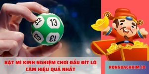 Bật mí kinh nghiệm chơi đầu đít lô câm hiệu quả nhất